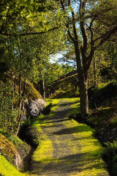 Paisagem de caminhos em montanhas norwegian — Fotografia de Stock