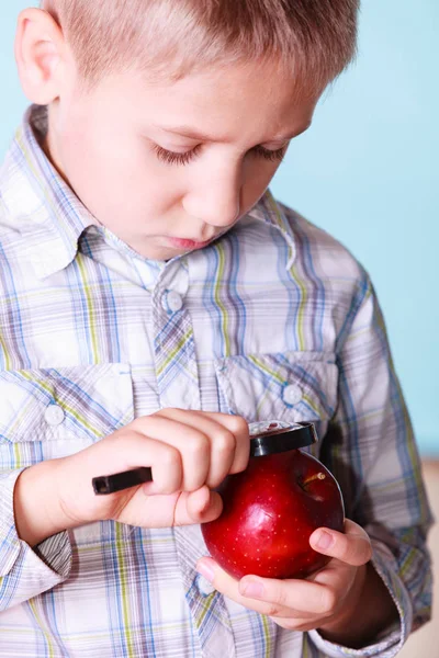 孩子检查苹果用放大镜. — 图库照片