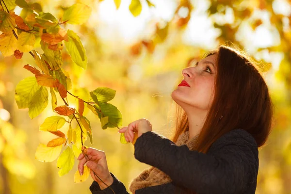 Menina atraente entre árvores e folhas — Fotografia de Stock