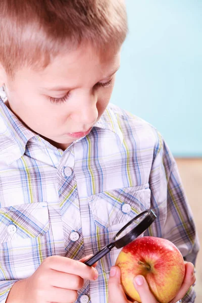 Kind untersucht Apfel mit Lupe. — Stockfoto