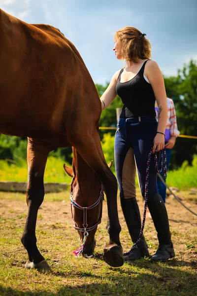 Jockey ung flicka petting brun häst — Stockfoto