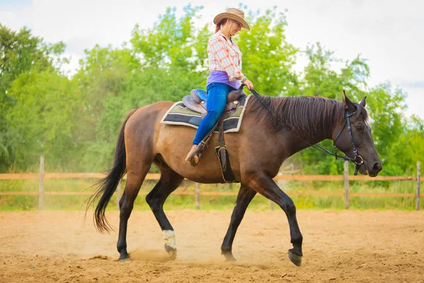 Kůň cowgirl koni na venkově louka — Stock fotografie