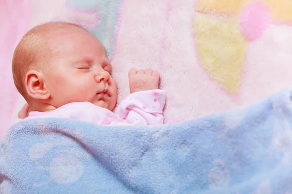 Маленька новонароджена дитина спить у ковдрі — стокове фото