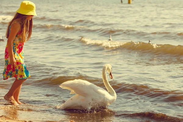 Chica jugando con cisne adulto . — Foto de Stock