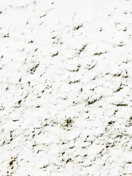 Fresh snow on green grass closeup background — Stock Photo, Image