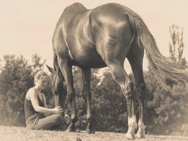 Jockey mujer sentado con caballo en el prado —  Fotos de Stock