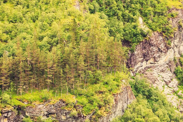 Mountains summer landscape in Norway. — Stock Photo, Image