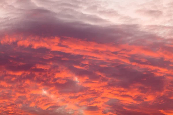 Barevné teplé mraky na obloze při západu slunce — Stock fotografie