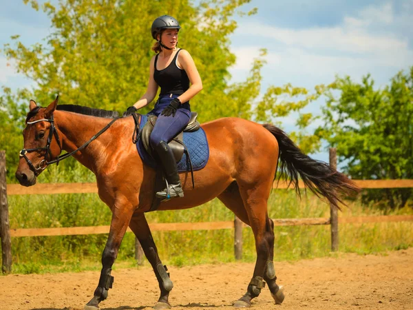 Jockey girl doing horse riding on countryside meadow — Stock Photo, Image