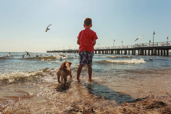 Garçon jouer avec son chien. — Photo