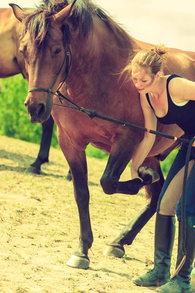 Jockey kvinna ta hand om hästen — Stockfoto