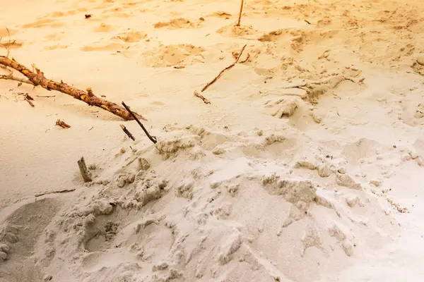 Sand Textur Muster Strand sandiger Hintergrund — Stockfoto