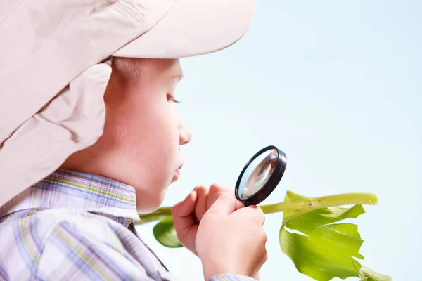 Young boy hold flower and magnifying glass. — Stock Photo, Image