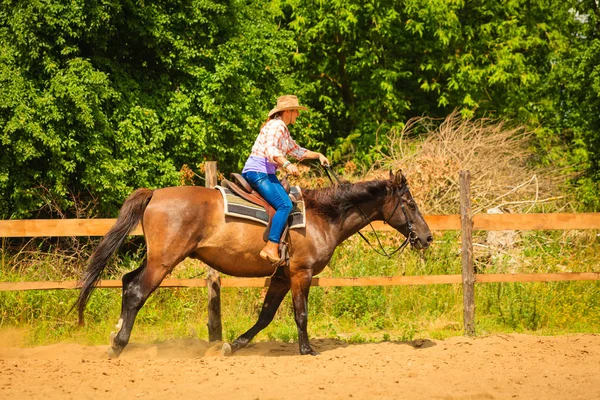 騎乗馬をやって田舎の牧草地の上に乗って — ストック写真