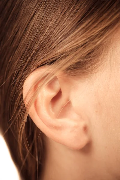 Gros plan sur l'oreille féminine Images De Stock Libres De Droits