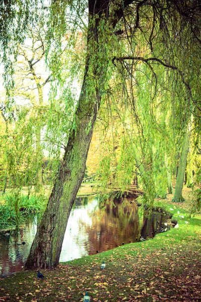 Pond in autumnal park. — Stock Photo, Image