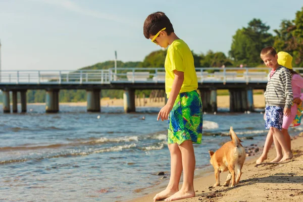 Kids playing with his dog. — Stock Photo, Image