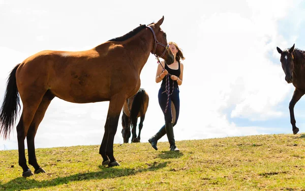 Жокей молода дівчина кидає коричневого коня — стокове фото