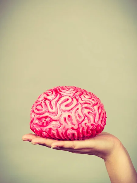 Mujer sosteniendo la mano cerebro —  Fotos de Stock