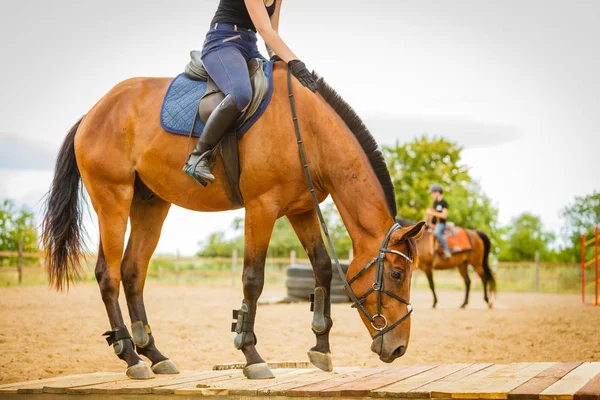 Jockey-Mädchen beim Reiten auf der Weide — Stockfoto