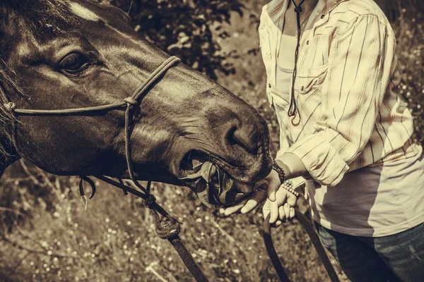 Primo piano del cavallo che mangia dalla mano della donna — Foto Stock