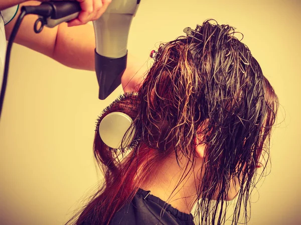 Парикмахер сушит тёмные женские волосы с помощью профессионального фена — стоковое фото