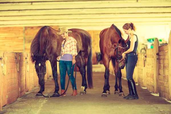 Cowgirl and jockey walking with horses in stable — Stock Photo, Image
