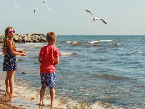 Niños jugando al aire libre en la playa . — Foto de Stock