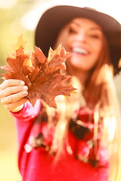 Femme dans le parc d'automne cueillette de feuilles d'or — Photo