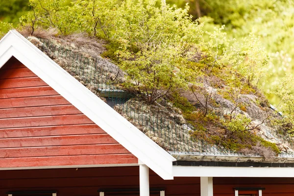 Maison norvégienne avec toit en herbe — Photo