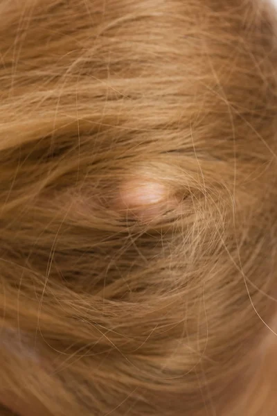 Cara de mujer cubierta de pelo largo rubio — Foto de Stock
