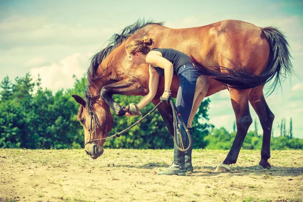 Dżokej kobieta dbanie o konia — Zdjęcie stockowe