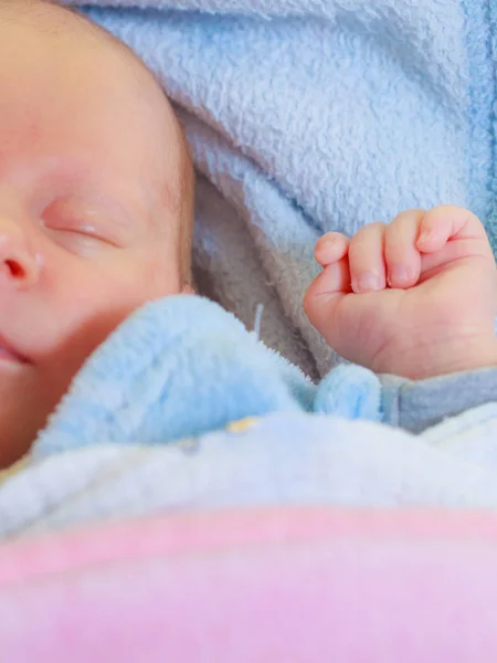 Malé novorozeně spí klidně v přikrývce — Stock fotografie