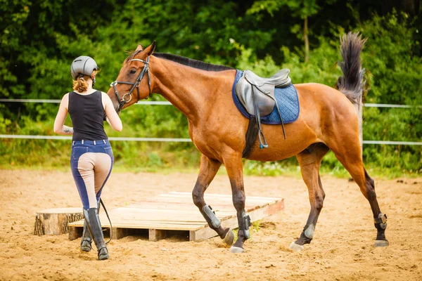 Jockey joven mujer consiguiendo caballo listo para montar — Foto de Stock