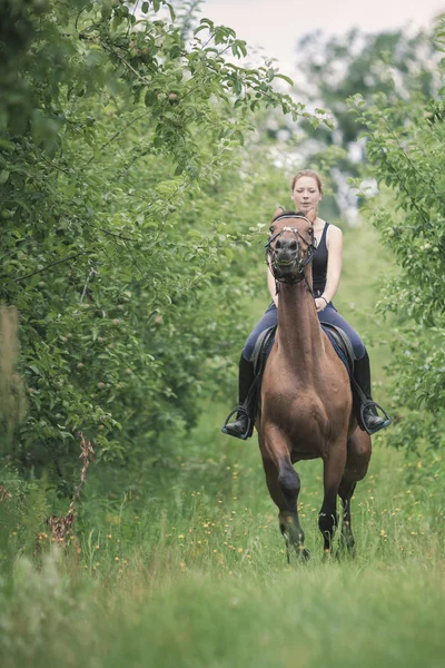 Молодая женщина, скачущая на лошади — стоковое фото