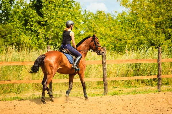 Jockey girl gör häst ridning på landsbygden äng — Stockfoto