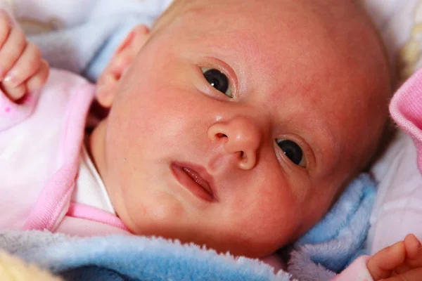 Little newborn baby lying in blanket — Stock Photo, Image