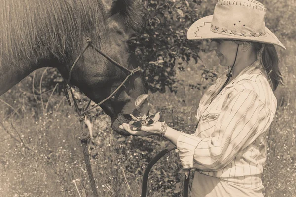 Západní žena starat se o koně na louce — Stock fotografie