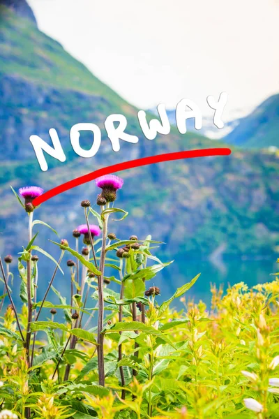 Горы Норвегии и фьорды , — стоковое фото