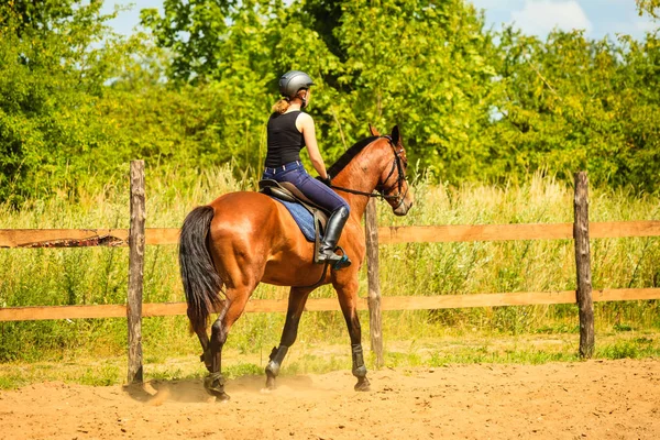 Jockey chica haciendo equitación en campo prado — Foto de Stock