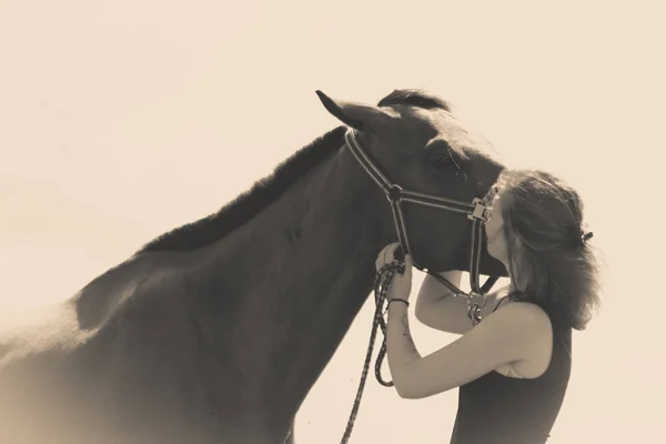 Jockey chica joven besándose y abrazando caballo marrón —  Fotos de Stock