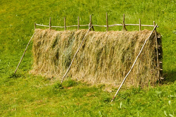 干燥草干草稻草上的木栅栏 — 图库照片