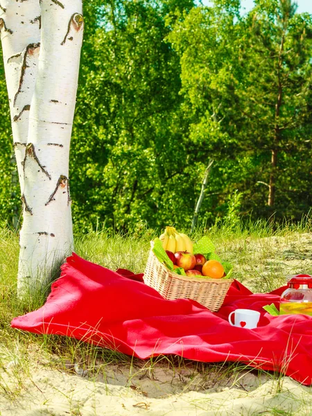 Cesta de picnic en la manta en el bosque — Foto de Stock