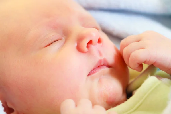 Младенец спит спокойно в одеяле — стоковое фото