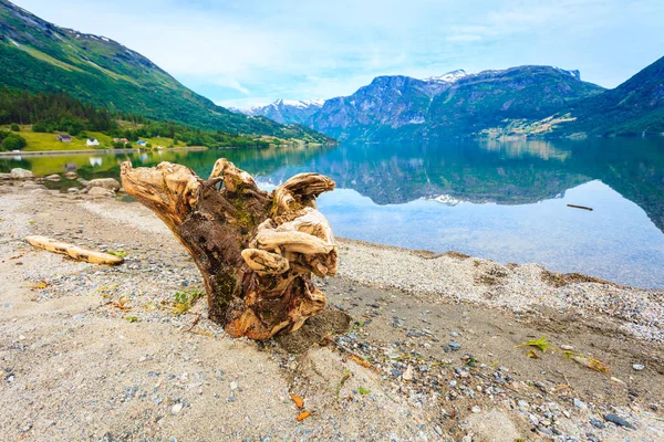 Bergen en fjord in Noorwegen, — Stockfoto