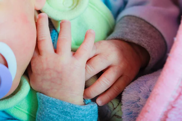 Little newborn baby hands closeup — Stock Photo, Image