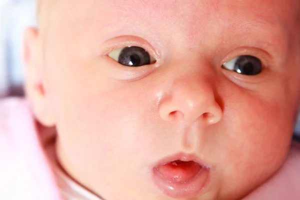 Pequeño bebé recién nacido acostado en manta —  Fotos de Stock