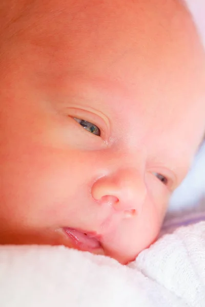 小さな新生児が静かに毛布の中で眠る — ストック写真