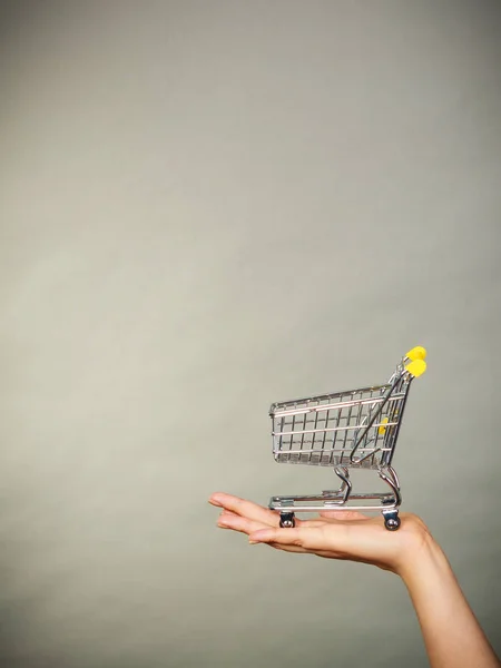 Woman hand holding small tiny shopping cart — Stock Photo, Image