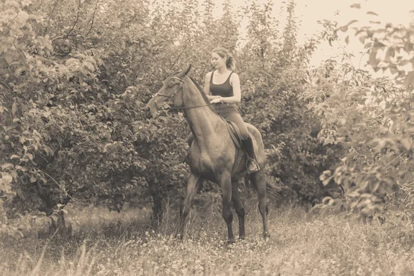 Mladá žena zbavit na koni — Stock fotografie